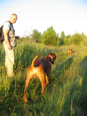 Rodik, pan Jacek i ja... - 
