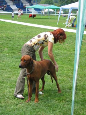 Alf-Argus... - 