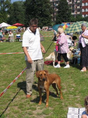 Zaraz idziemy na ring... - 