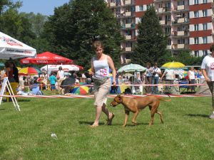 Pierwsze koliczko... - 