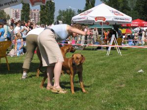 Ayana i ja... - 
