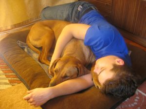 "Dogoterapia" - 