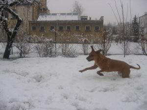 May "powerek" na ogrdku... - 