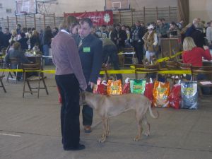 Cenne uwagi Pana Sdziego... - 