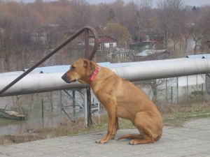Wczoraj tam spacerowaam - a dzi wszystko pod wod.. - 
