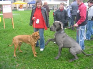 Tu przed wystpem pojawi si przy mnie mody i liczny Dog! - 