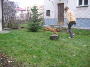 Dalej bawi si z Magosi... - 