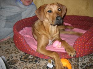 To dalej ja - 06.02.2005 - 
