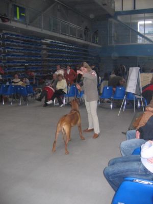 06.02.2005 Wystawa w Rzeszowie - zostawili mnie w domu i poszli oglada inne psy! - 