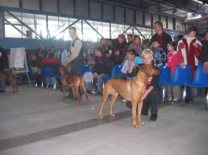 Rodik i ten drugi... - 