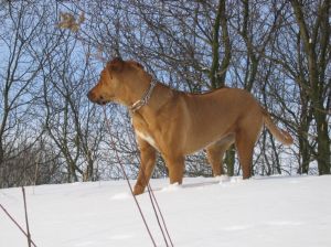 Soce, mrz, nieg i ja... - 