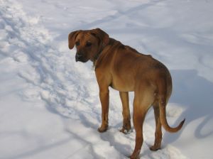 Dalej 11.03.2005 - 