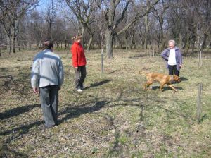 03.04.2005 Wiosna na działce... - 