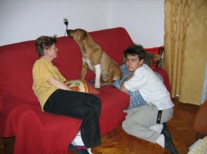 14.04.2005 Tak to jest jak dwa psy zderzą się czołowo w pełnym biegu... - 