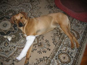 Na szczęście po trzech dniach zdjęli mi ten gips... - 