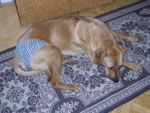 05.06.2005 Krzys da mi piekn bielizn i wygldam szykownie! - 