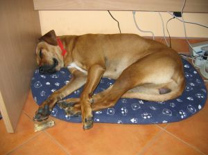 07.06.2005 pi sobie w firmie... - 