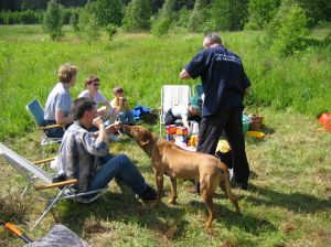 19.06.2005 Rodezjanowy raj: ki i chaszcze po horyzont, i mona czasem pospi.. - 