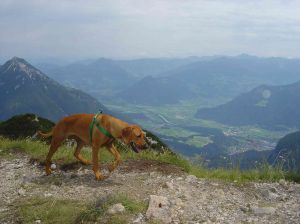 Prawie 3 kilometry - zdobyte! - 