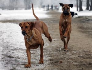 Jestem pierwsza!!! - 