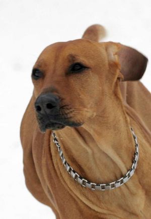 Aischa - Zima 2006 - 